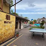 Magnat Deliatyn