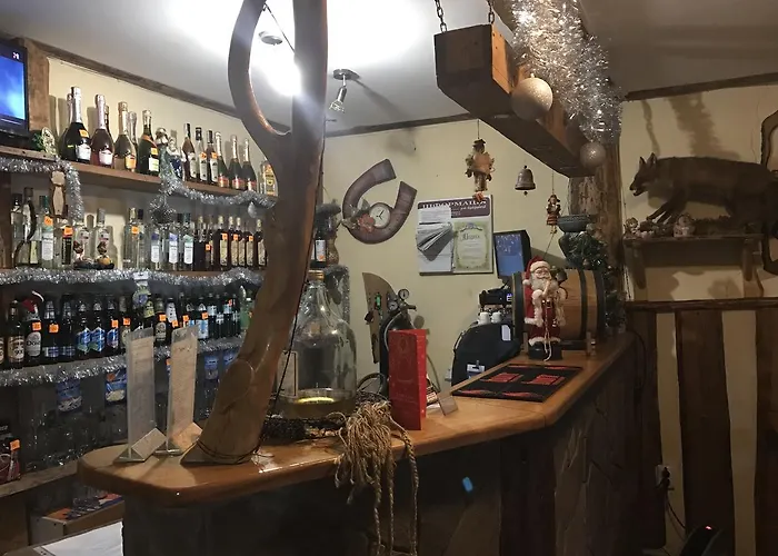 萨迪巴马尼亚酒店 3* Dilyatyn